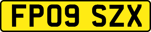 FP09SZX