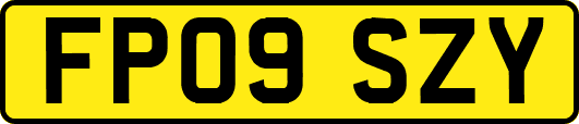 FP09SZY