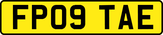 FP09TAE