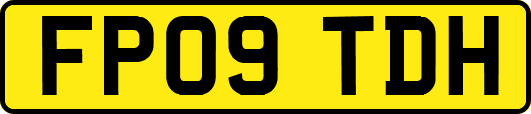 FP09TDH
