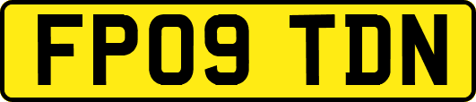 FP09TDN
