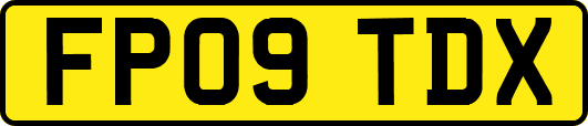FP09TDX