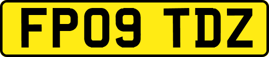 FP09TDZ