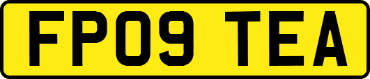 FP09TEA