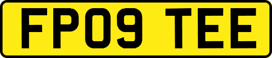 FP09TEE