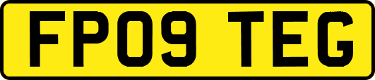 FP09TEG
