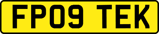 FP09TEK