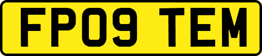 FP09TEM