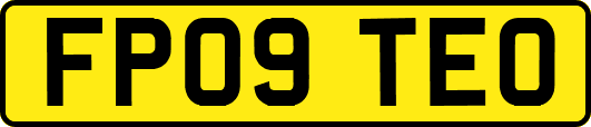 FP09TEO