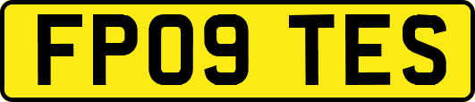FP09TES