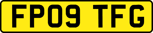 FP09TFG