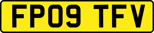 FP09TFV
