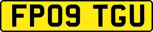 FP09TGU