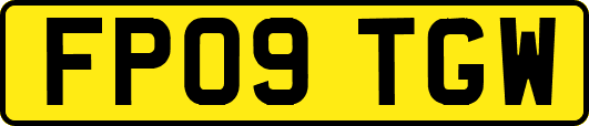 FP09TGW