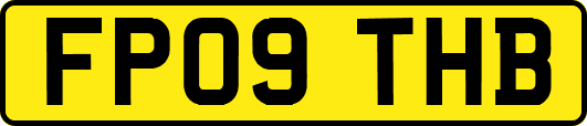 FP09THB