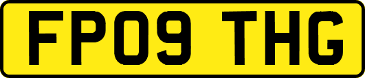 FP09THG