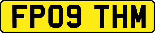 FP09THM