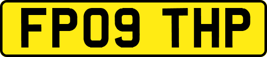 FP09THP