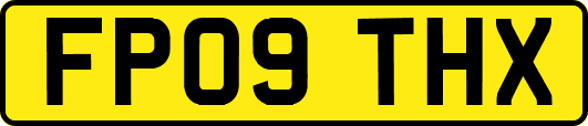FP09THX