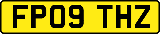FP09THZ