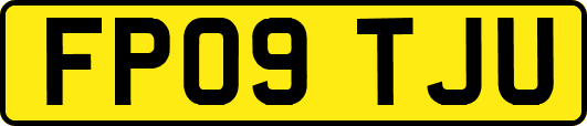 FP09TJU