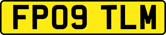 FP09TLM