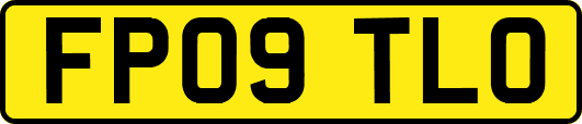 FP09TLO