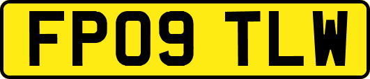 FP09TLW