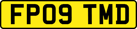FP09TMD