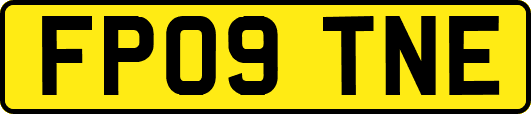 FP09TNE