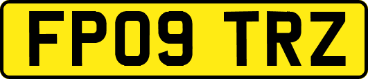 FP09TRZ