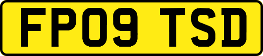 FP09TSD