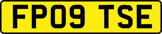 FP09TSE