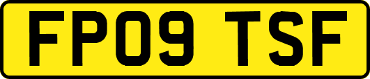 FP09TSF