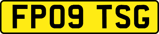 FP09TSG