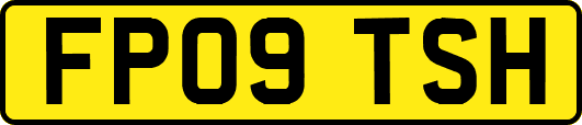 FP09TSH