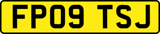 FP09TSJ