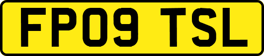 FP09TSL