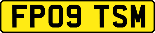 FP09TSM