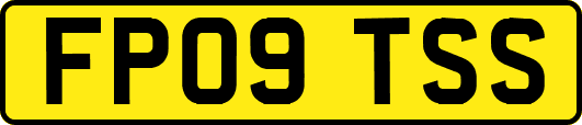 FP09TSS
