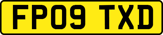 FP09TXD