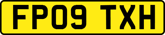 FP09TXH
