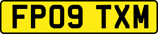 FP09TXM