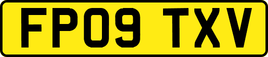 FP09TXV