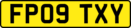 FP09TXY