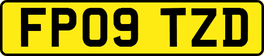 FP09TZD