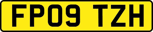 FP09TZH