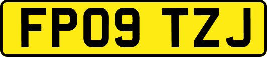 FP09TZJ