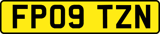 FP09TZN