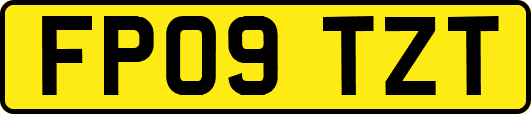 FP09TZT